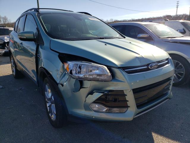 Ford Escape sel (2013)