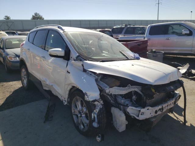 Ford Escape tit (2015)