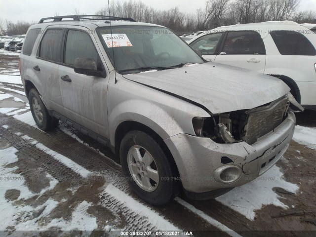 Ford Escape (2010)