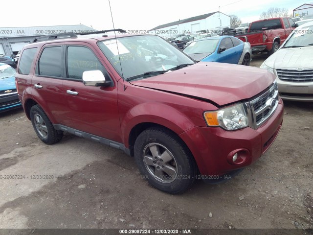 Ford Escape (2010)