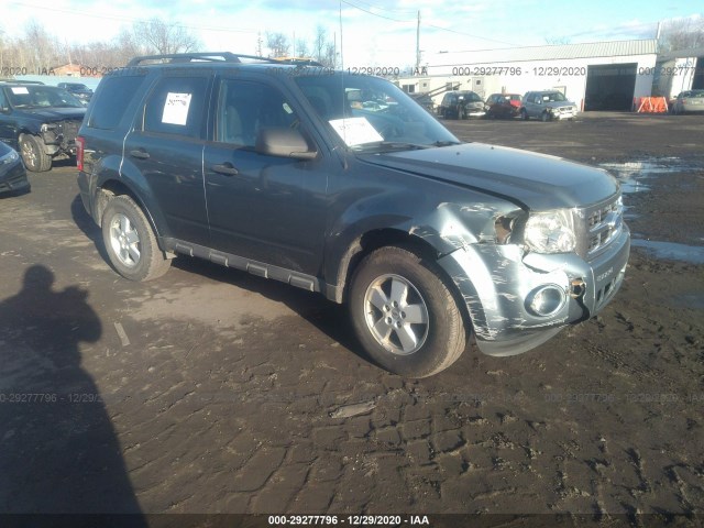 Ford Escape (2011)