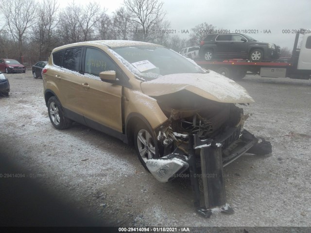 Ford Escape (2014)
