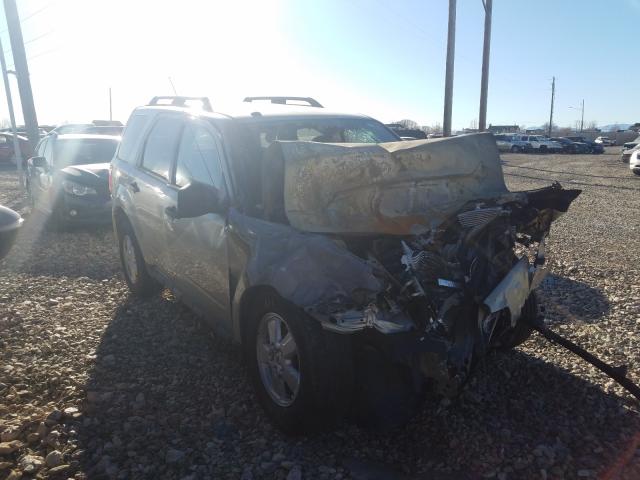 Ford Escape xlt (2010)