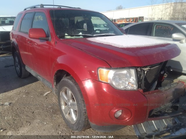 Ford Escape (2011)