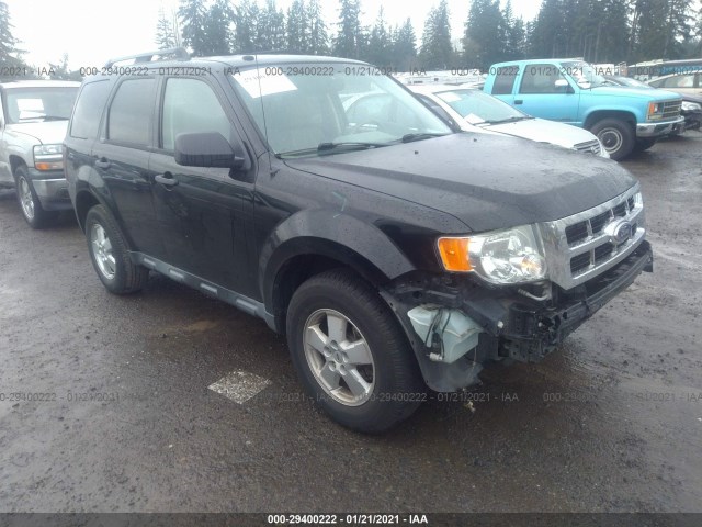 Ford Escape (2012)