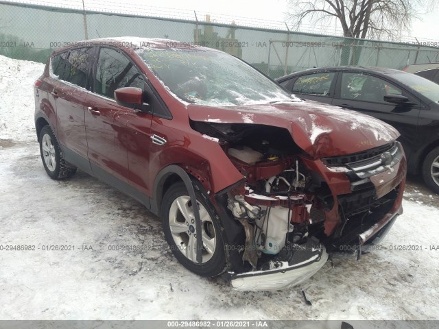 Ford Escape (2015)