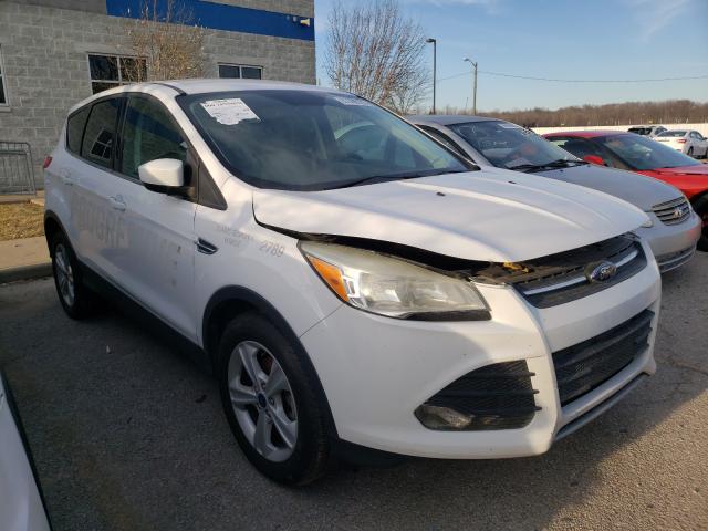 Ford Escape (2014)