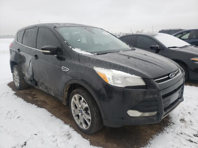 Ford Escape sel (2013)