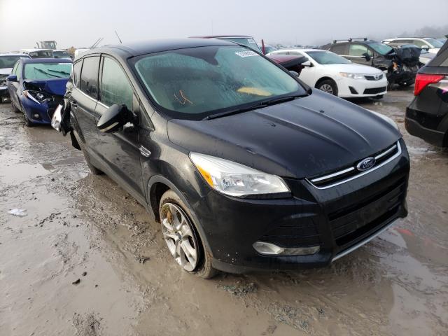 Ford Escape sel (2013)