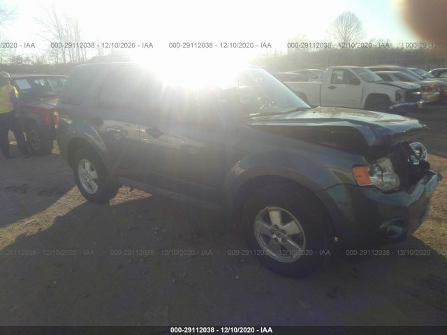 Ford Escape (2010)