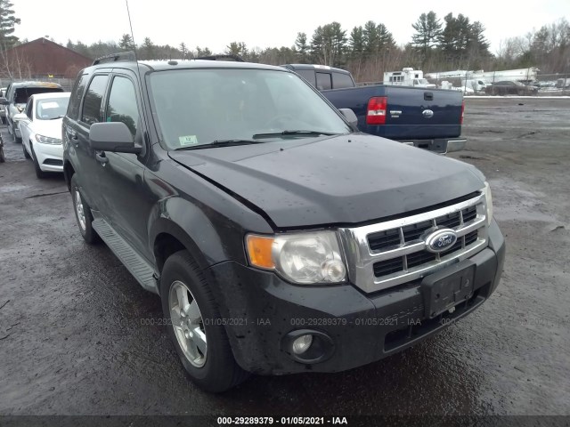 Ford Escape (2011)