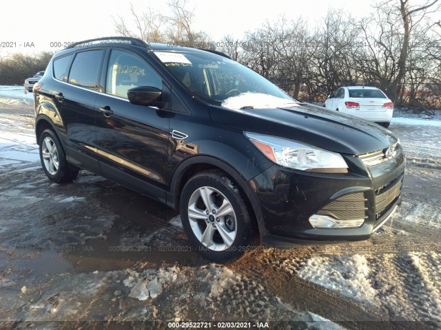 Ford Escape (2015)