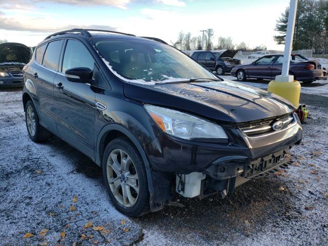 Ford Escape sel (2013)