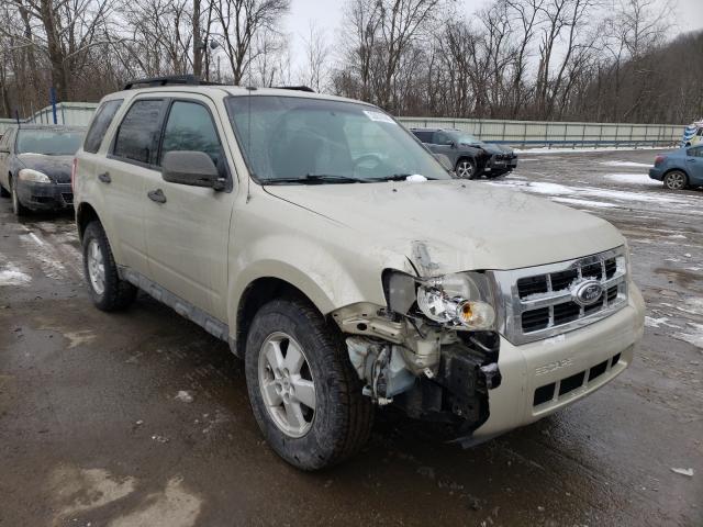 Ford Escape xlt (2010)