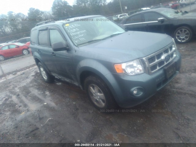 Ford Escape (2010)