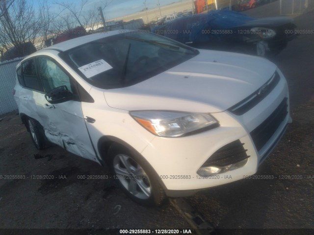 Ford Escape (2014)