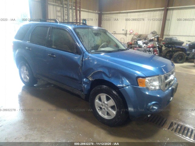 Ford Escape (2010)