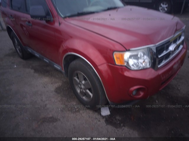 Ford Escape (2010)
