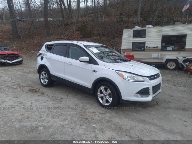 Ford Escape (2015)