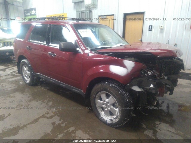Ford Escape (2010)