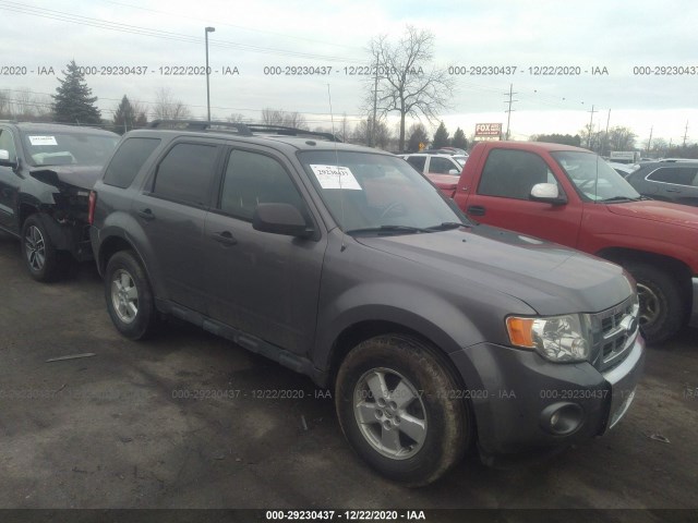 Ford Escape (2010)