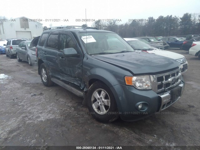 Ford Escape (2010)