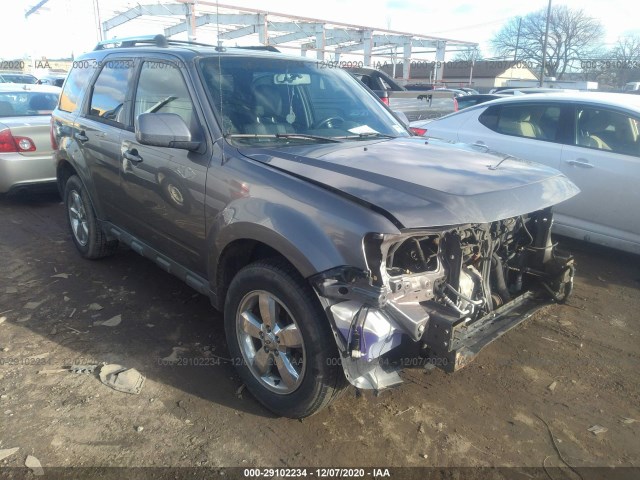 Ford Escape (2010)