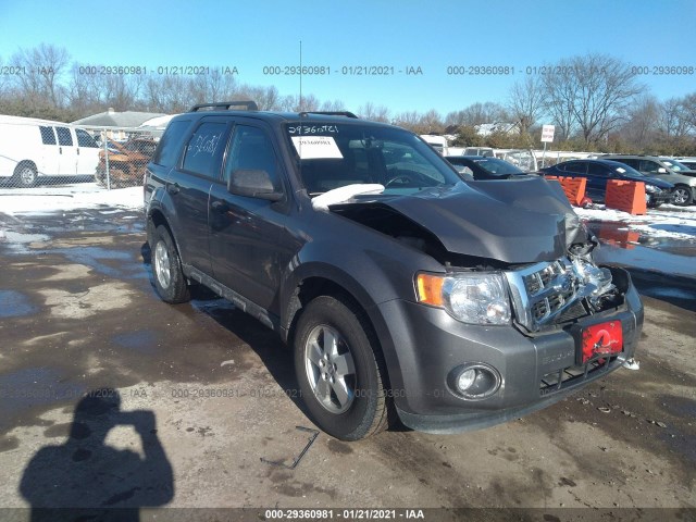 Ford Escape (2011)