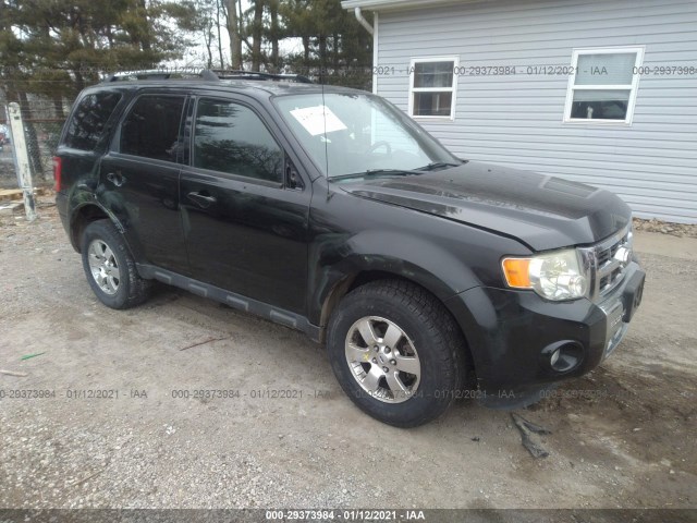 Ford Escape (2011)