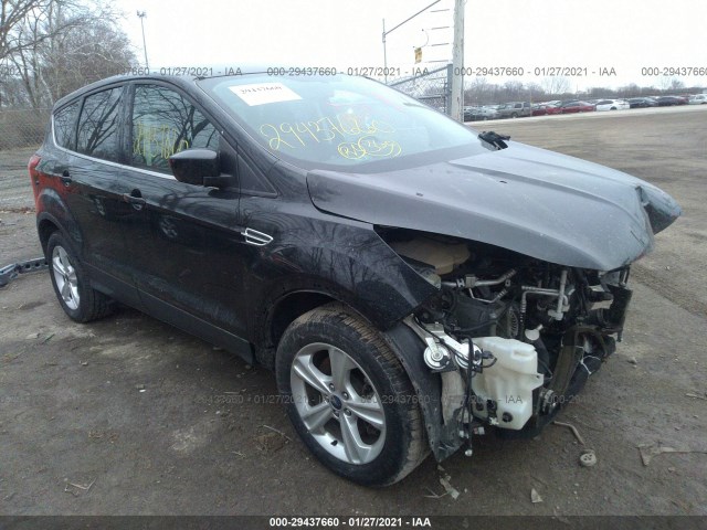 Ford Escape (2015)
