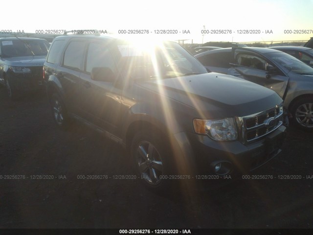 Ford Escape (2011)