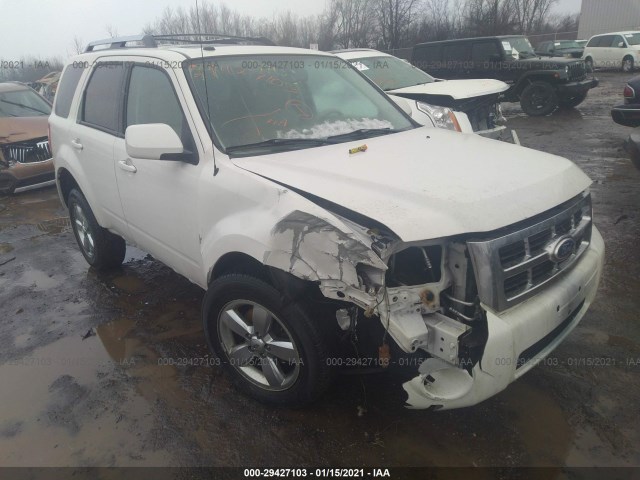 Ford Escape (2010)