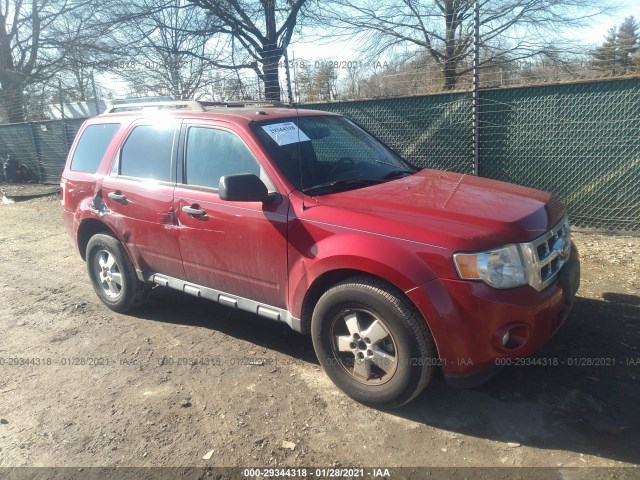 Ford Escape (2010)