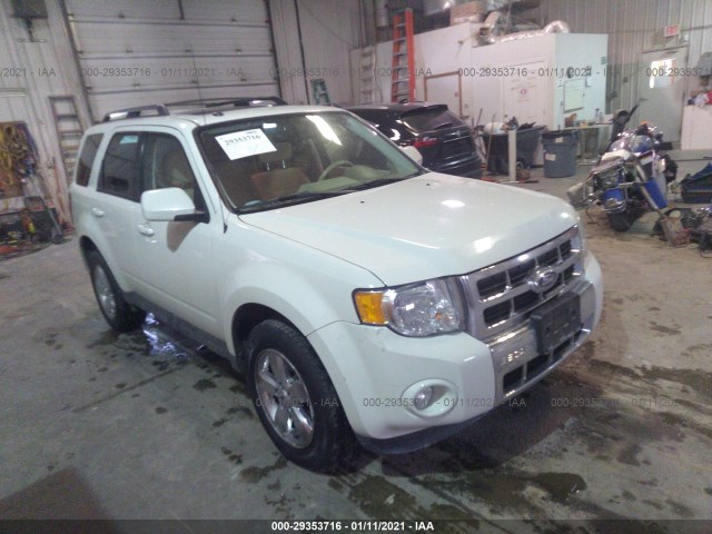 Ford Escape (2011)