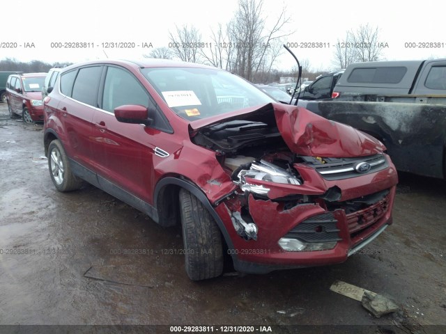 Ford Escape (2015)