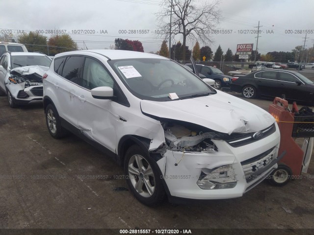 Ford Escape (2015)