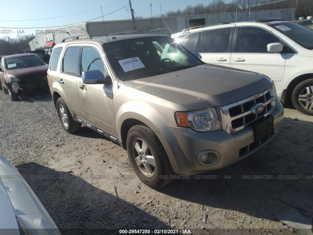 Ford Escape (2012)