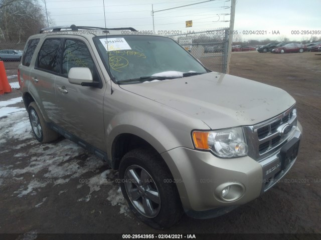 Ford Escape (2011)