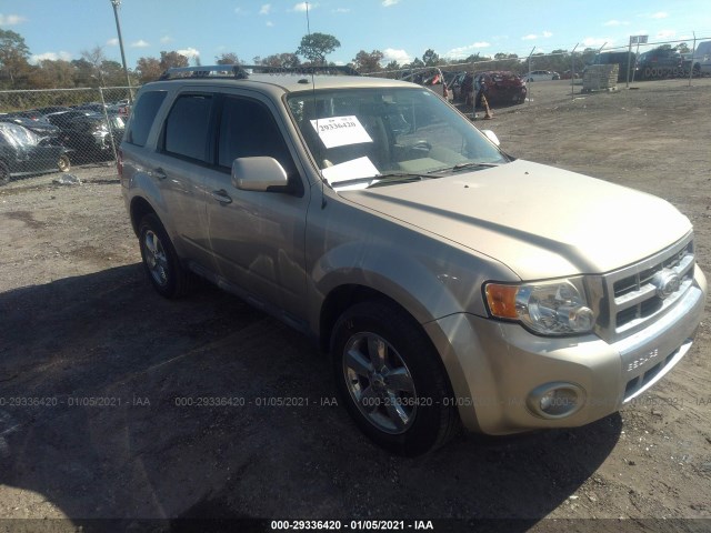 Ford Escape (2010)