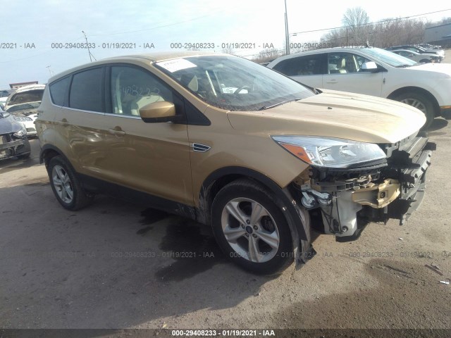Ford Escape (2015)