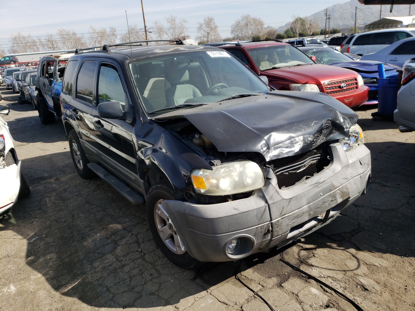 Ford Escape xlt (2005)