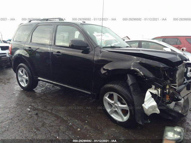 Ford Escape (2010)