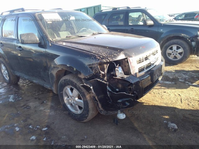 Ford Escape (2011)