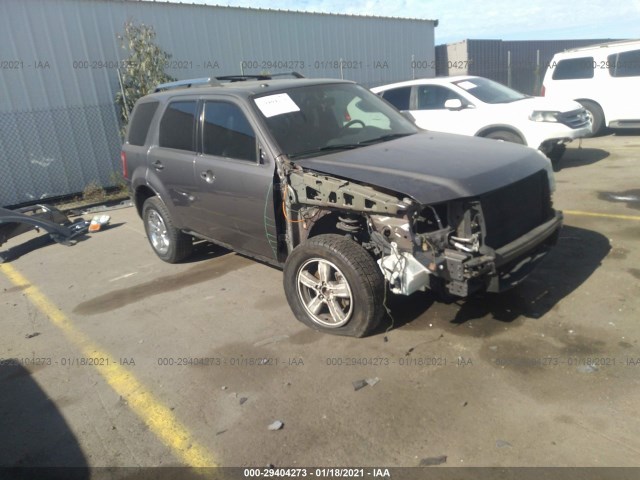 Ford Escape (2011)