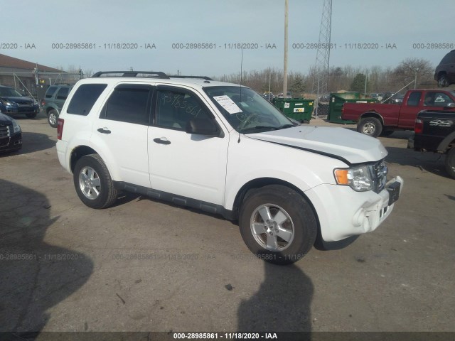 Ford Escape (2011)