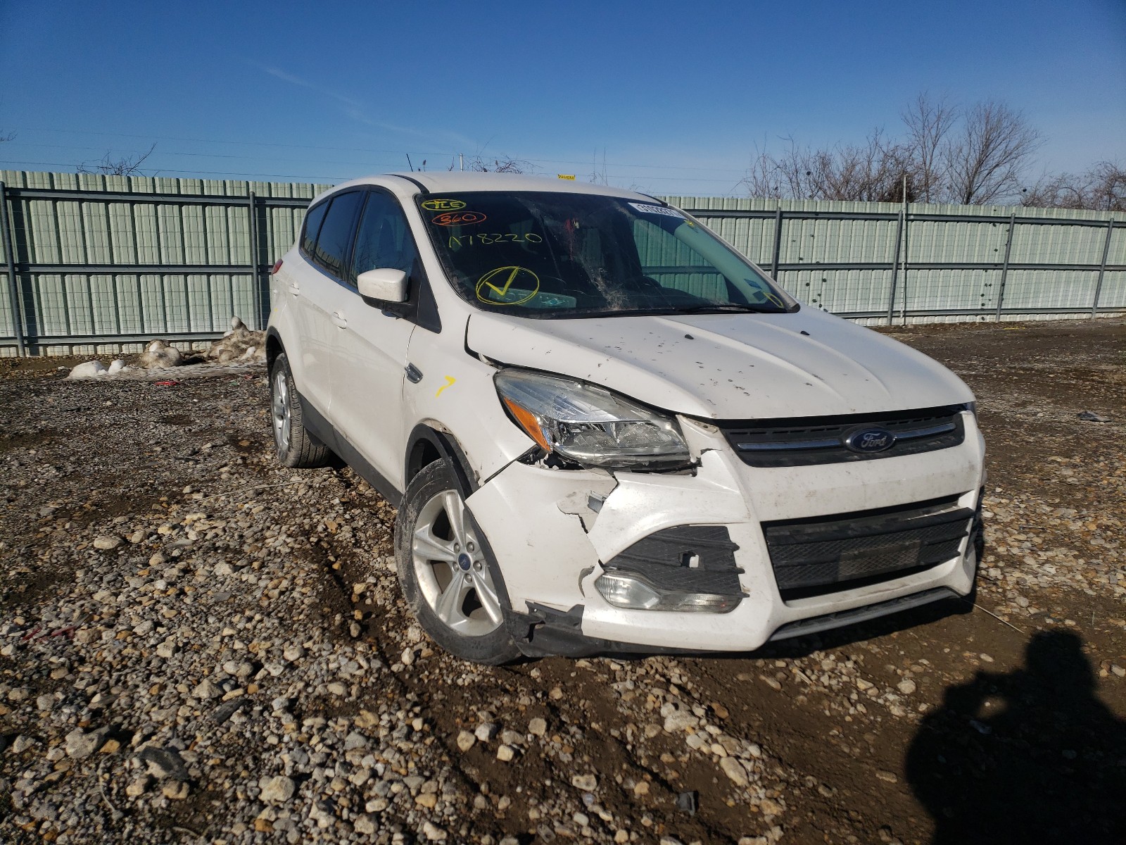 Ford Escape (2015)