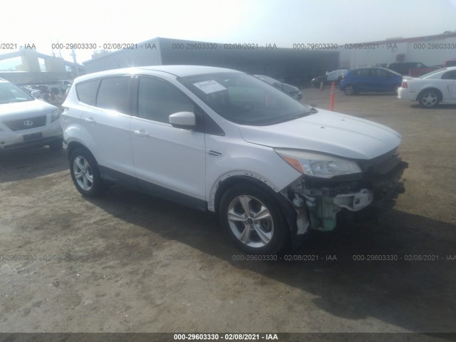 Ford Escape (2014)
