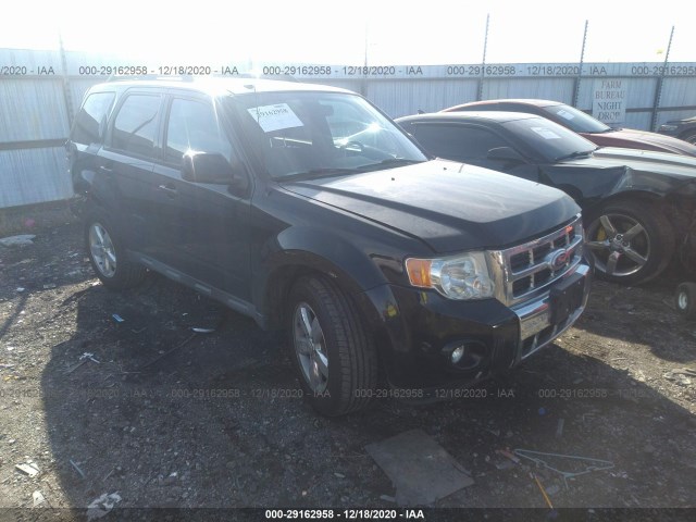 Ford Escape (2010)