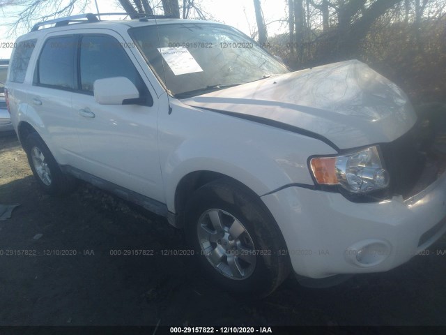 Ford Escape (2011)