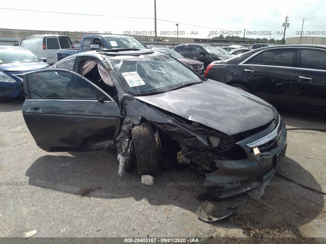 Honda Accord cpe (2011)